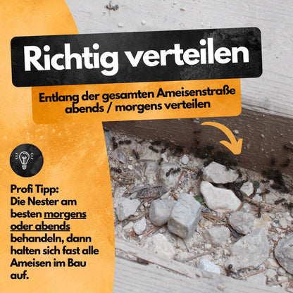 Ameisen Abwehr Pulver – 4 Kg XXL Set  – Für Innen & Außen