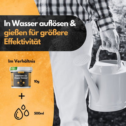 Ameisen-Ex Pulver - Ameisenstreu XXL - 5 Kg