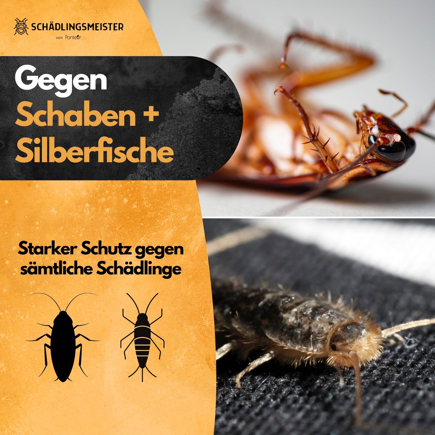 Schabengel - Kakerlaken Gift 2x10g Schabengel (AMP 9 RB)