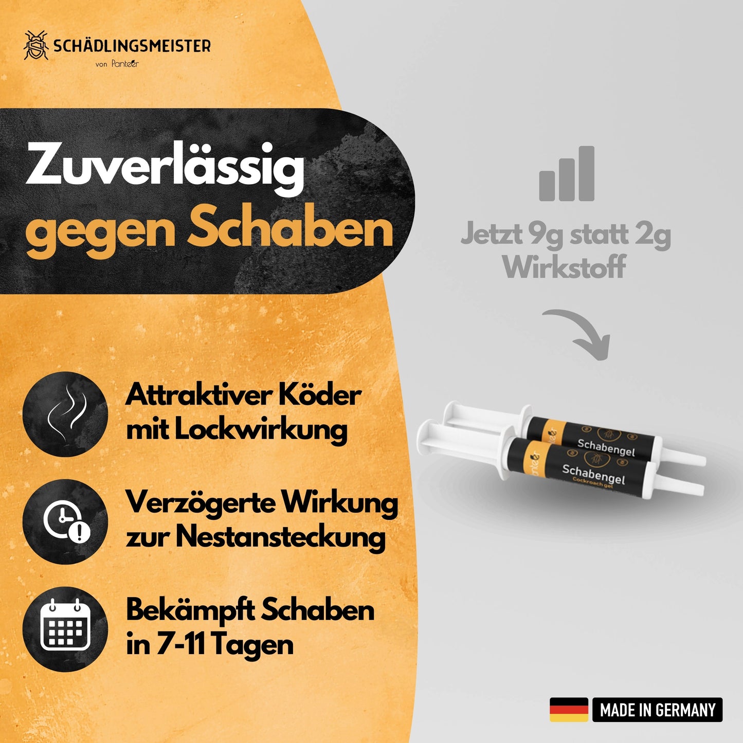 Schabengel - Kakerlaken Gift 2x10g Schabengel (AMP 9 RB)