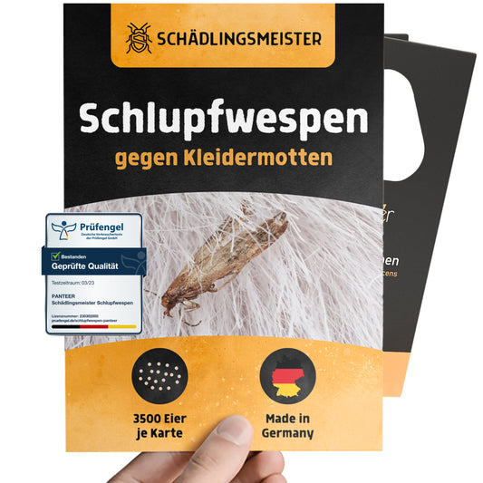 Schlupfwespen gegen Kleidermotten - 5 Lieferungen