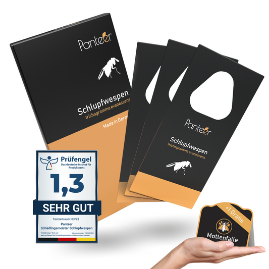 Schlupfwespen gegen Lebensmittelmotten + Mottenfalle